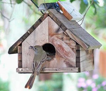 GCFL nestbox. Photo by Richard Hodder and Betsy Marie